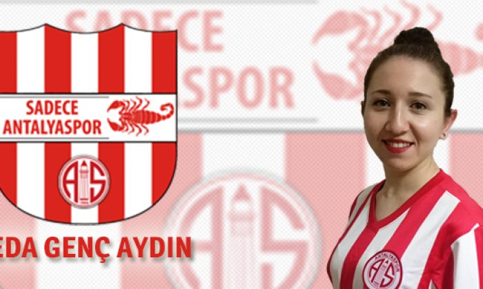 Milli Ara Yaramadı